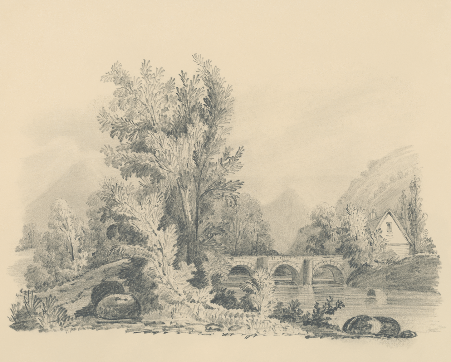 River's Edge