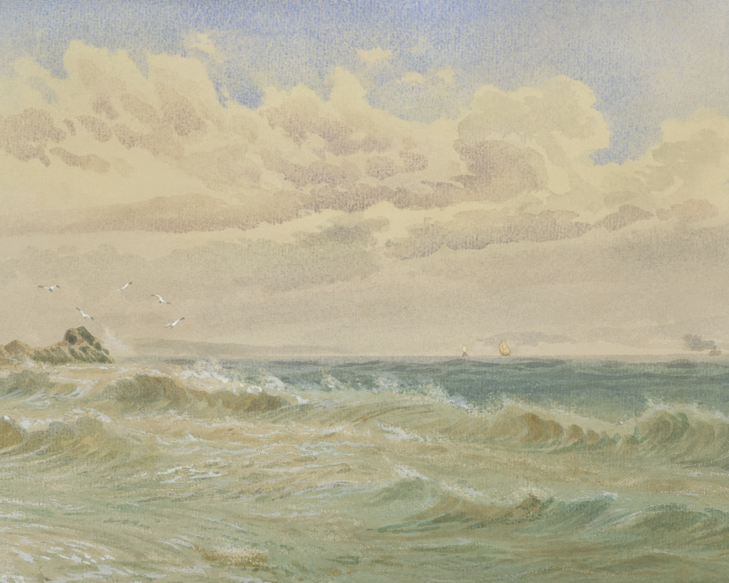 Seacsape & Landscape