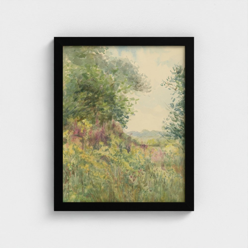 Summer Meadow