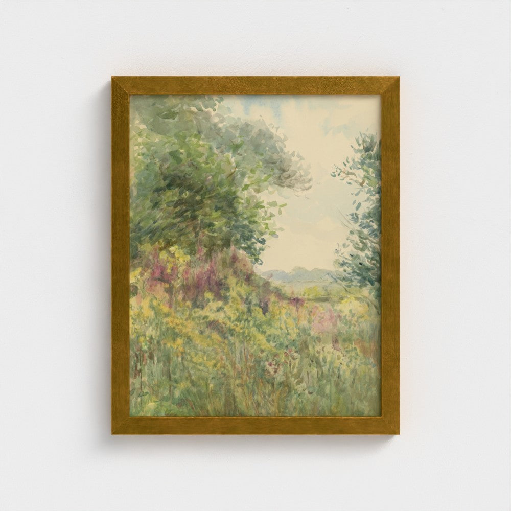 Summer Meadow