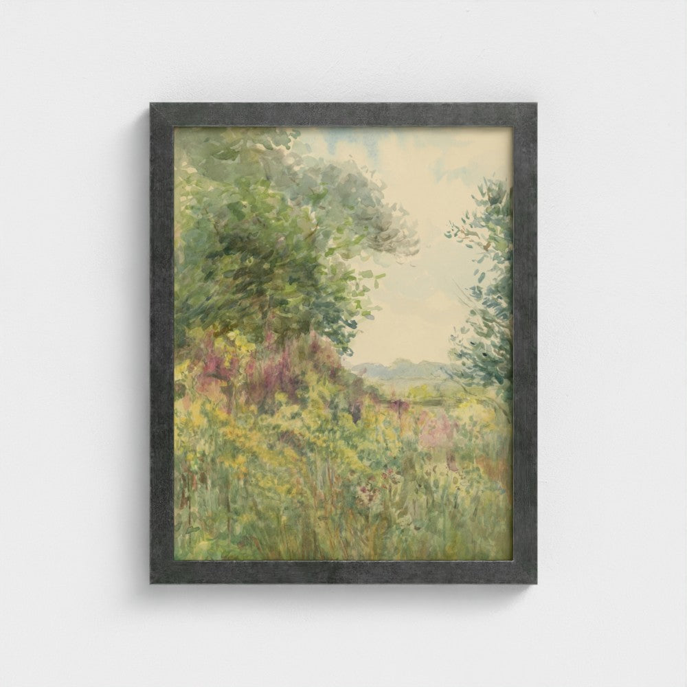 Summer Meadow