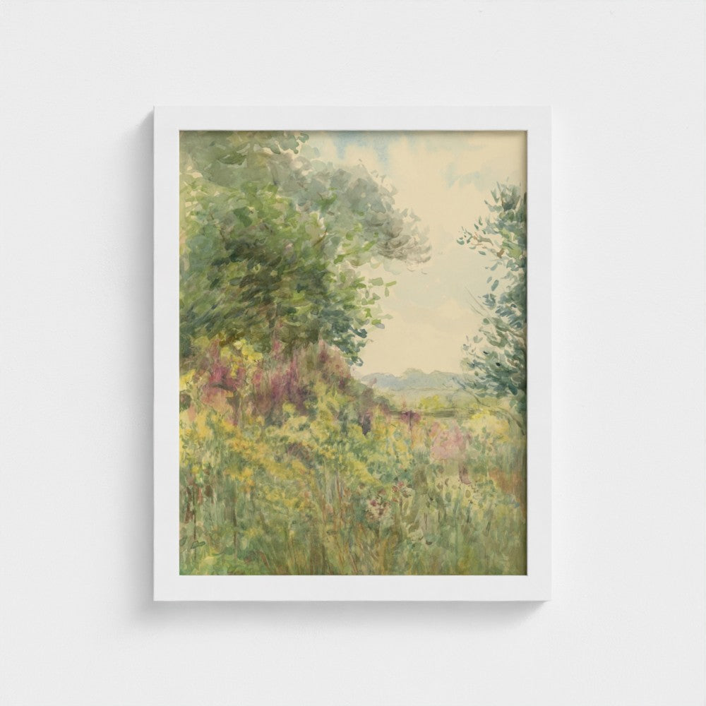 Summer Meadow