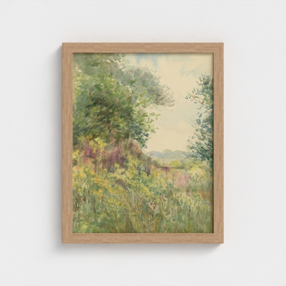 Summer Meadow