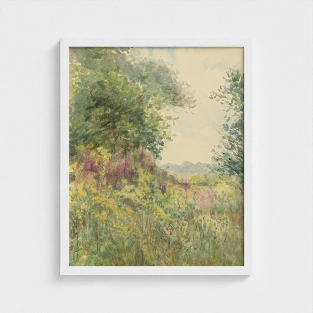 Summer Meadow