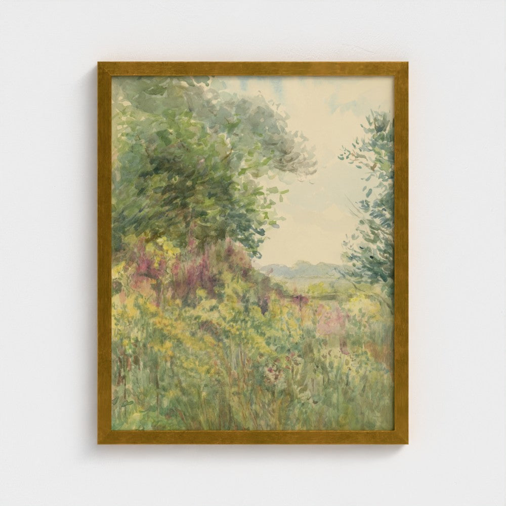 Summer Meadow