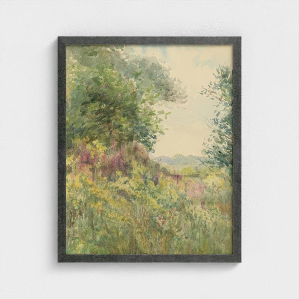Summer Meadow