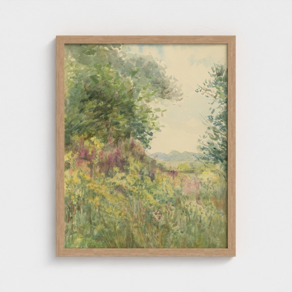 Summer Meadow