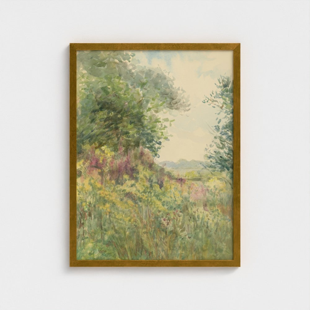 Summer Meadow
