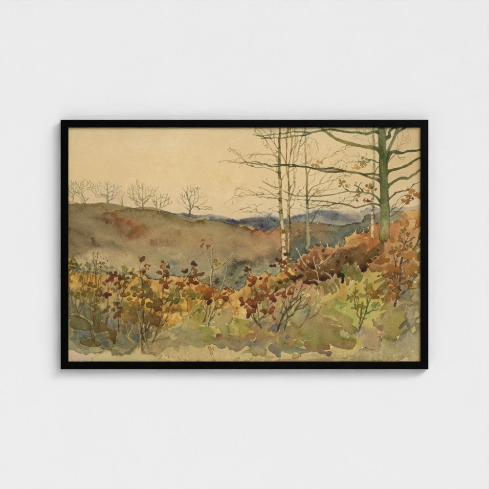 Winter Forest