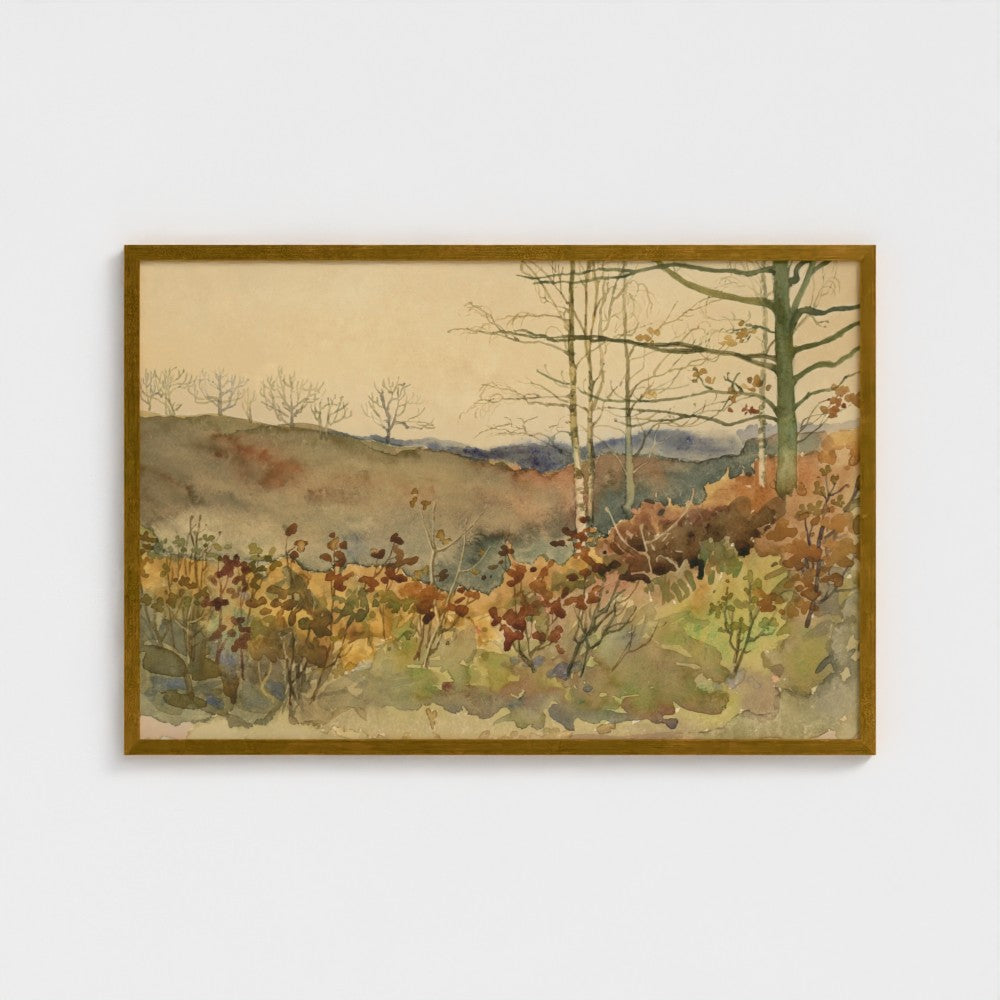 Winter Forest