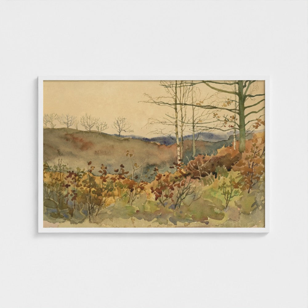 Winter Forest