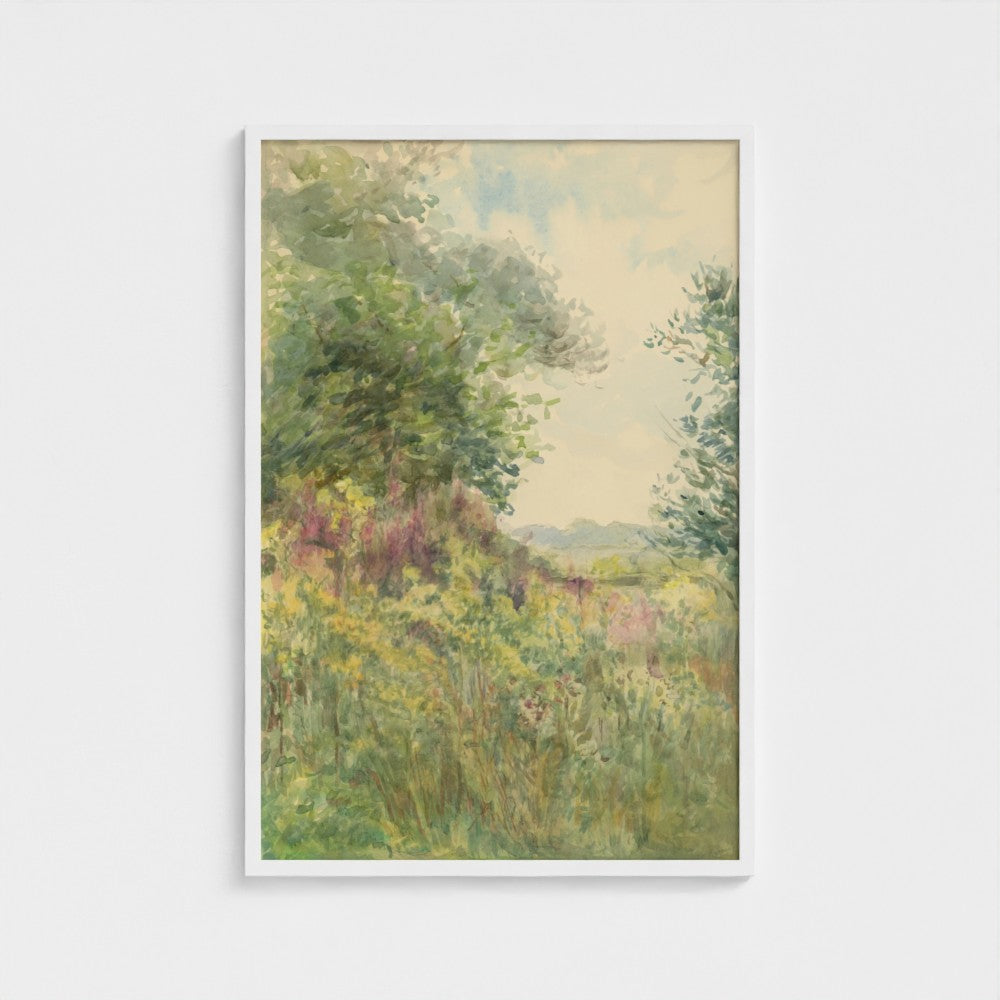 Summer Meadow