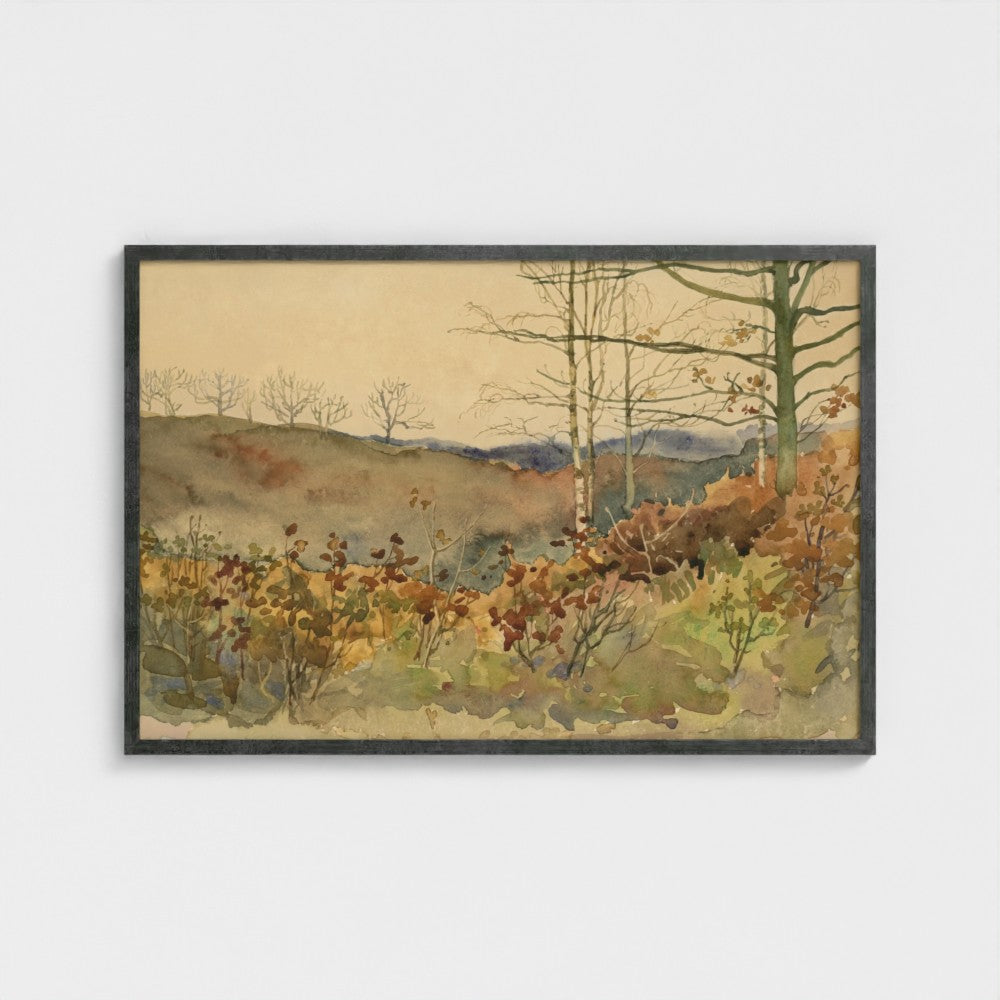 Winter Forest