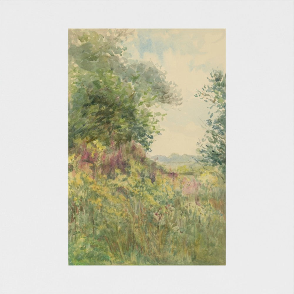 Summer Meadow