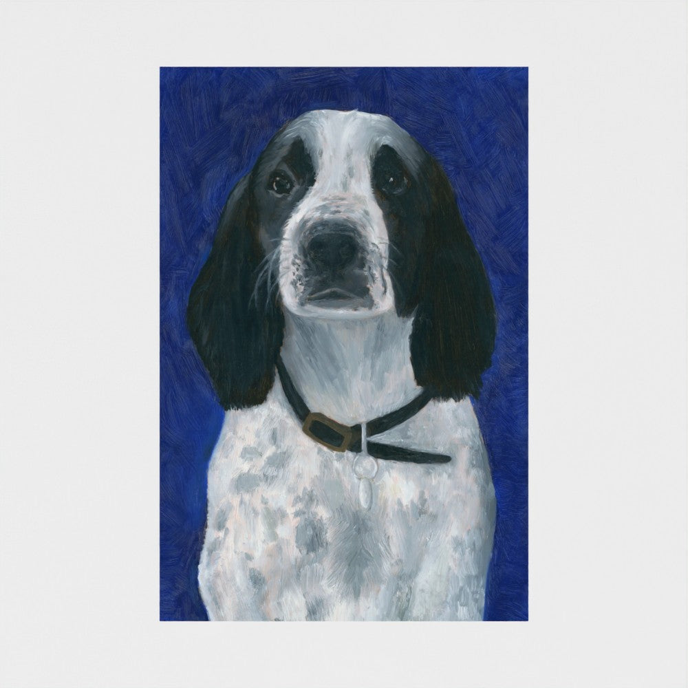 Baxter