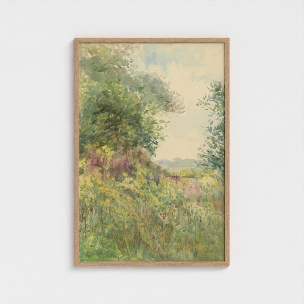 Summer Meadow