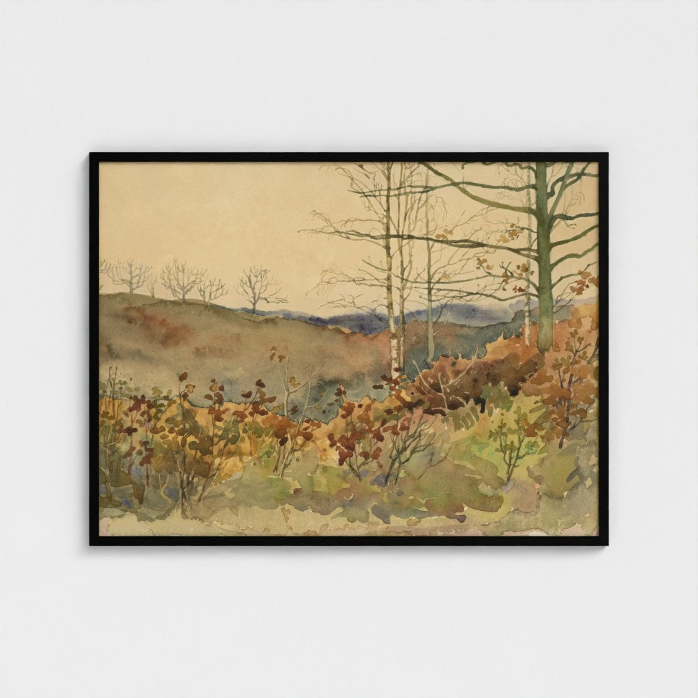 Winter Forest