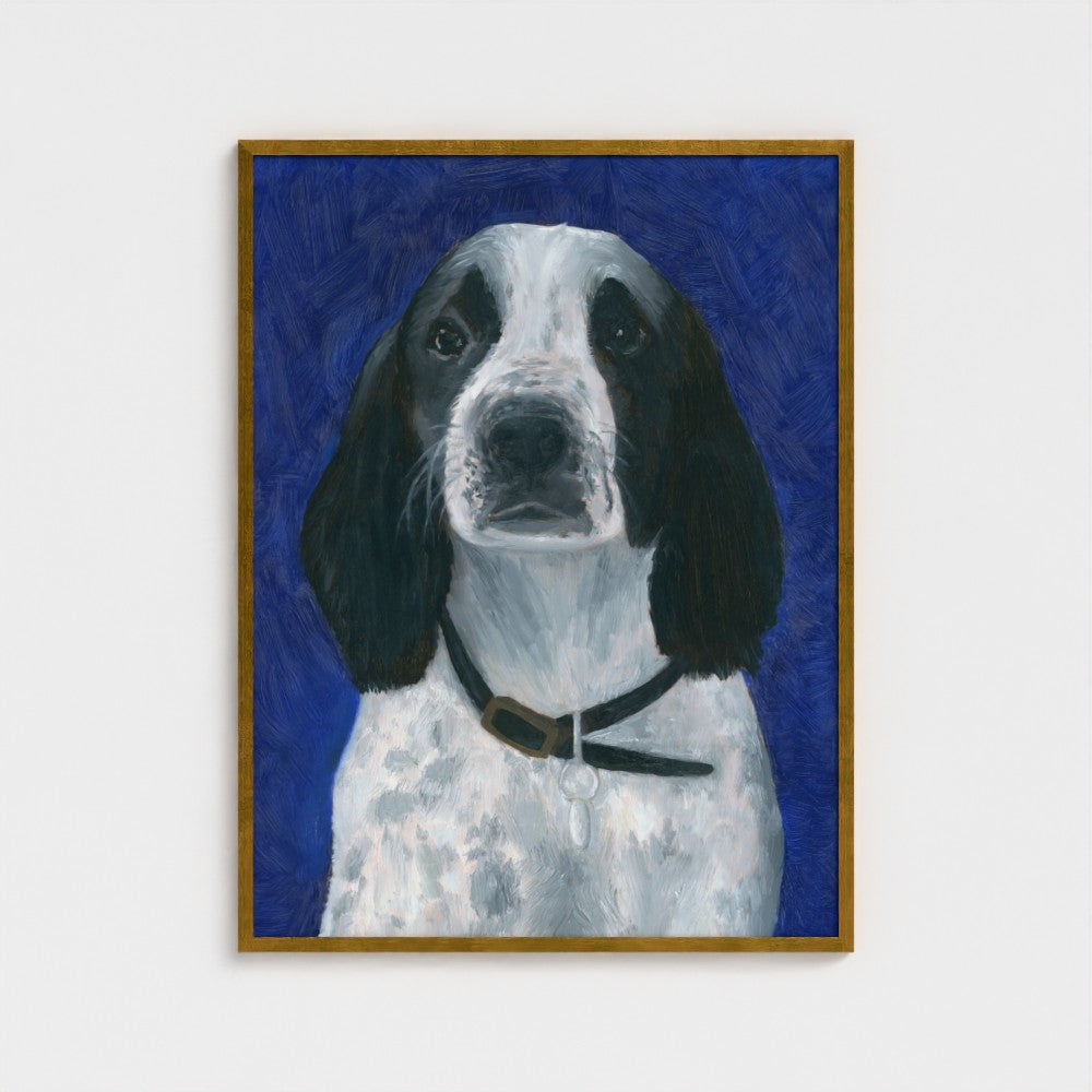 Baxter