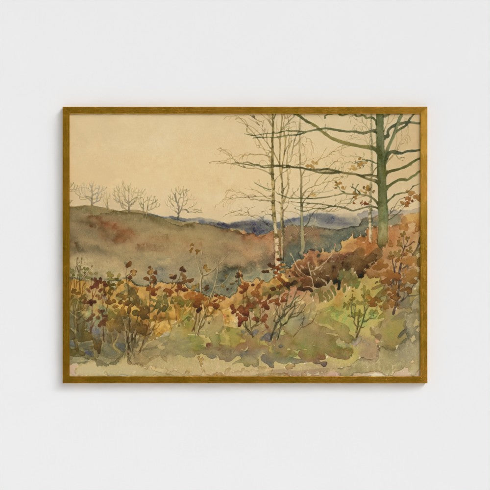 Winter Forest