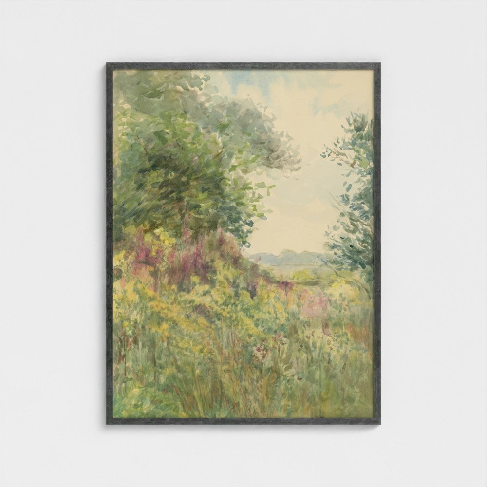Summer Meadow