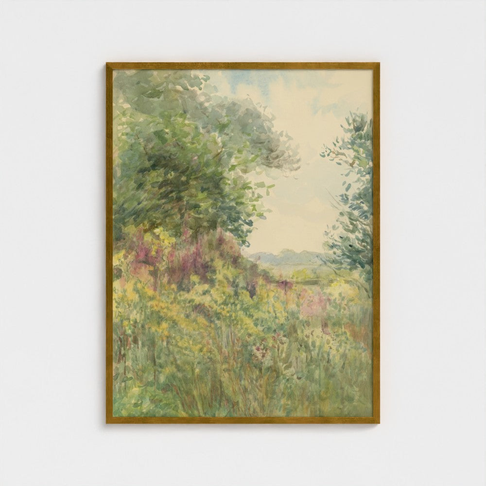Summer Meadow