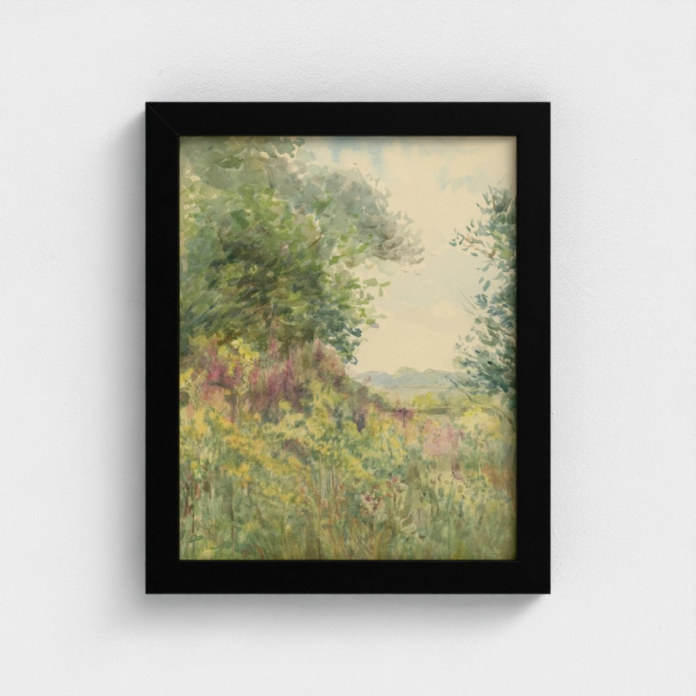 Summer Meadow