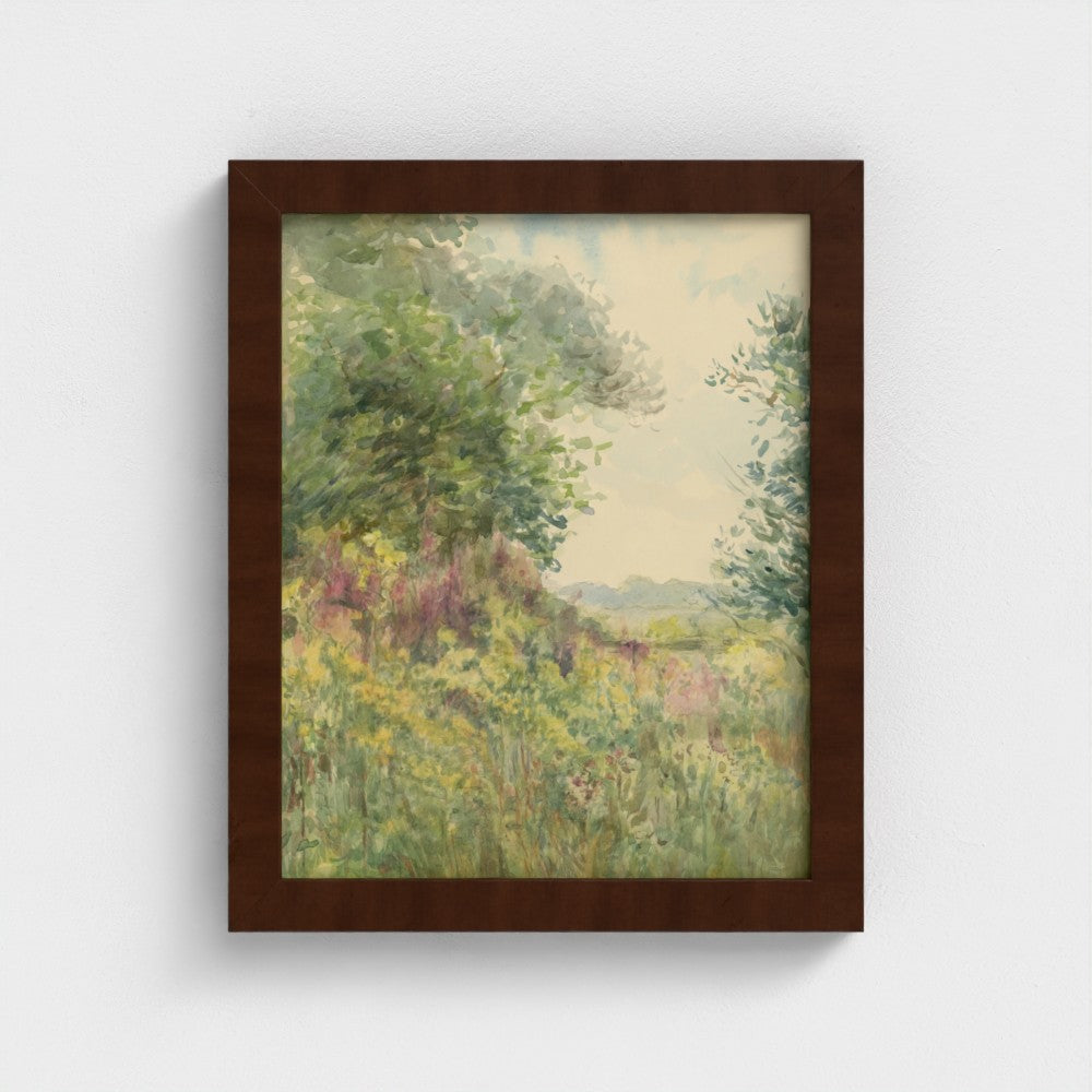 Summer Meadow