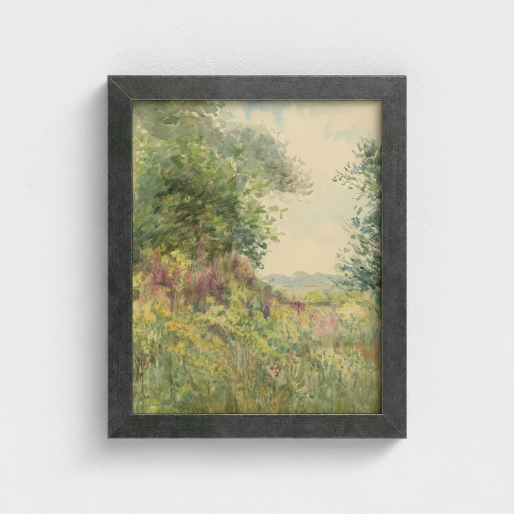 Summer Meadow