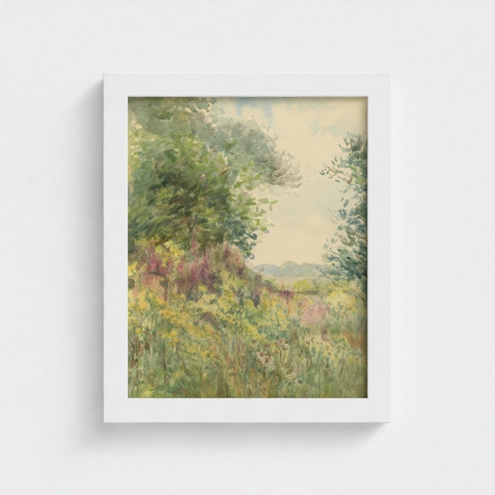 Summer Meadow