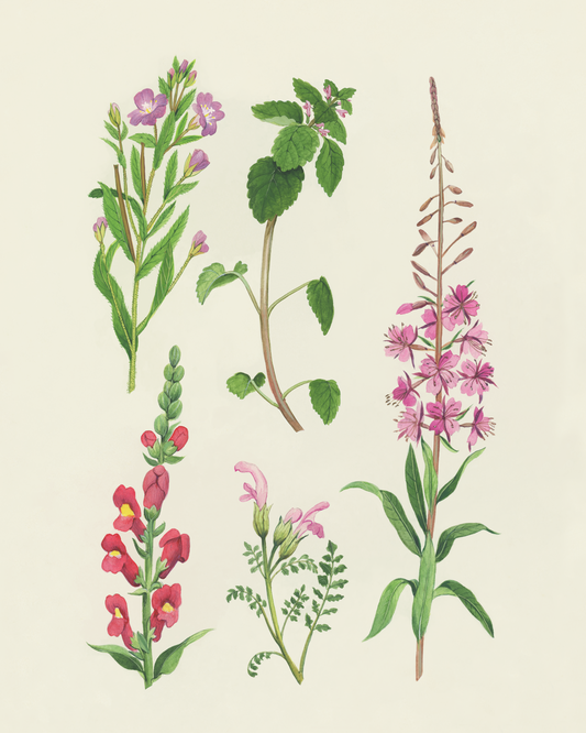 Botanical No1