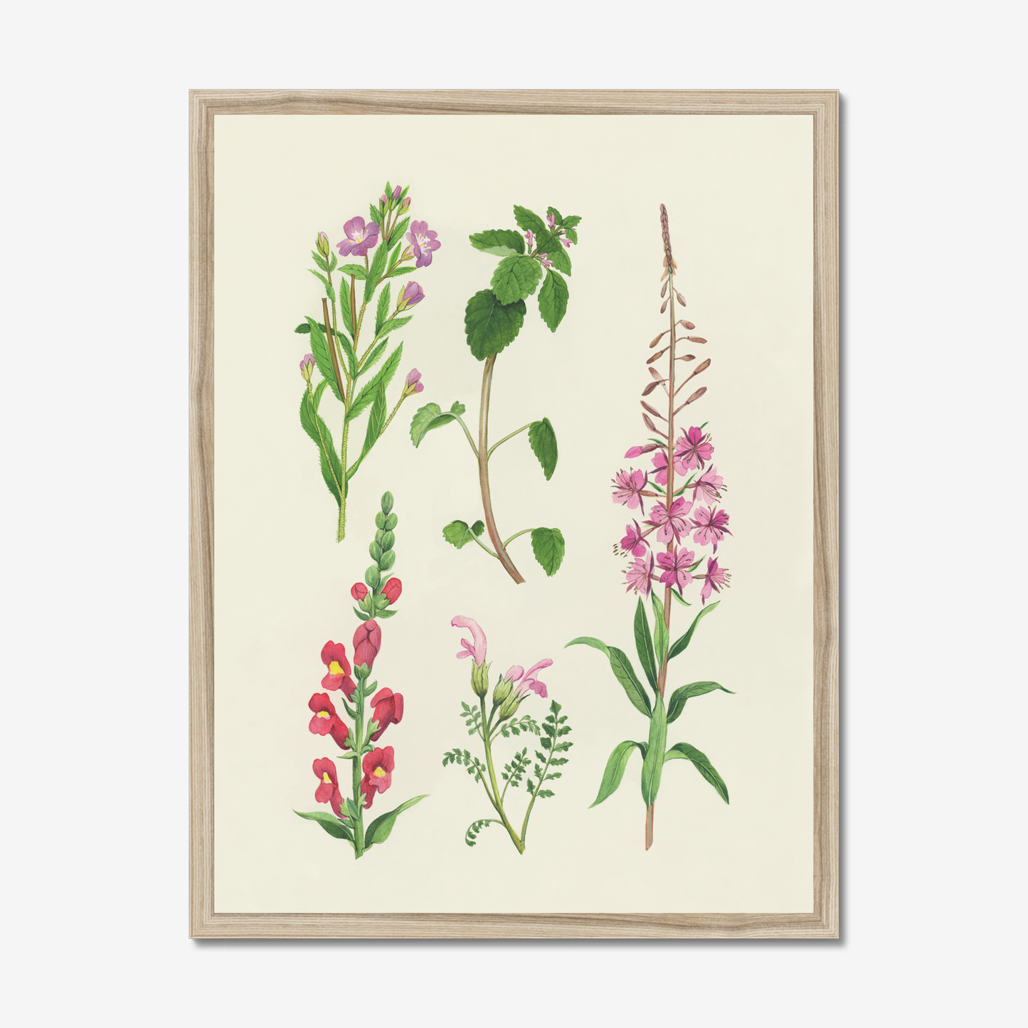 Botanical No1